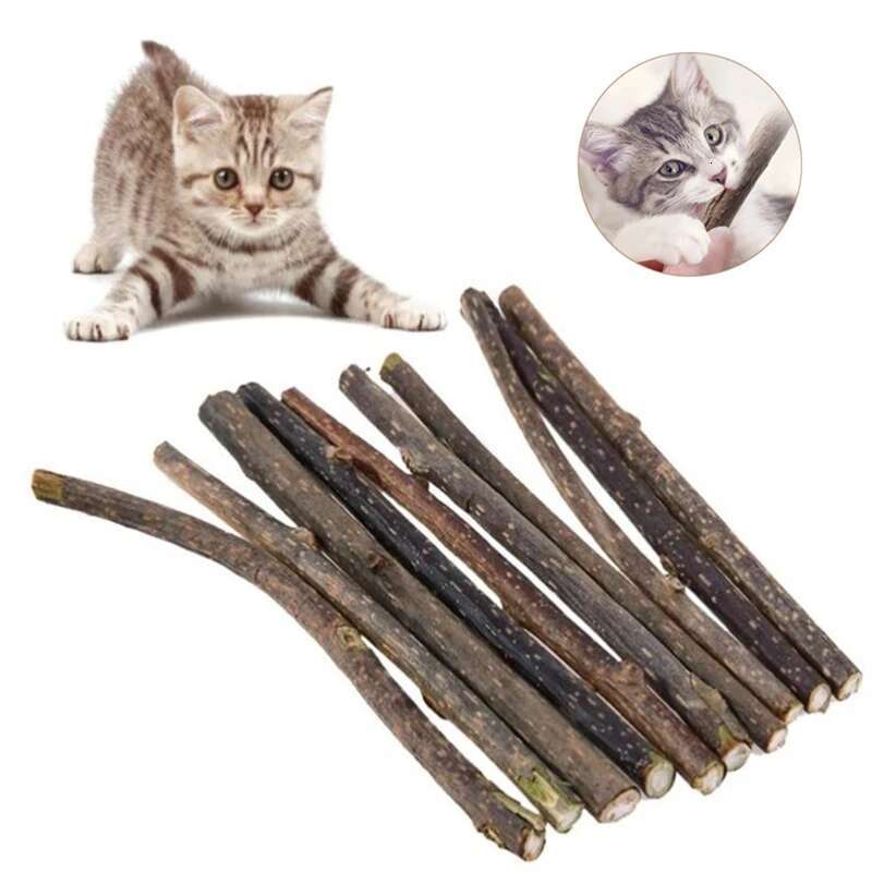 10pcs/lot Caip Stick Pet Cat Molar Natural Wood Polygonum Sticks Cleaning Teeth Relieve Boredom Snacks Chews Toys