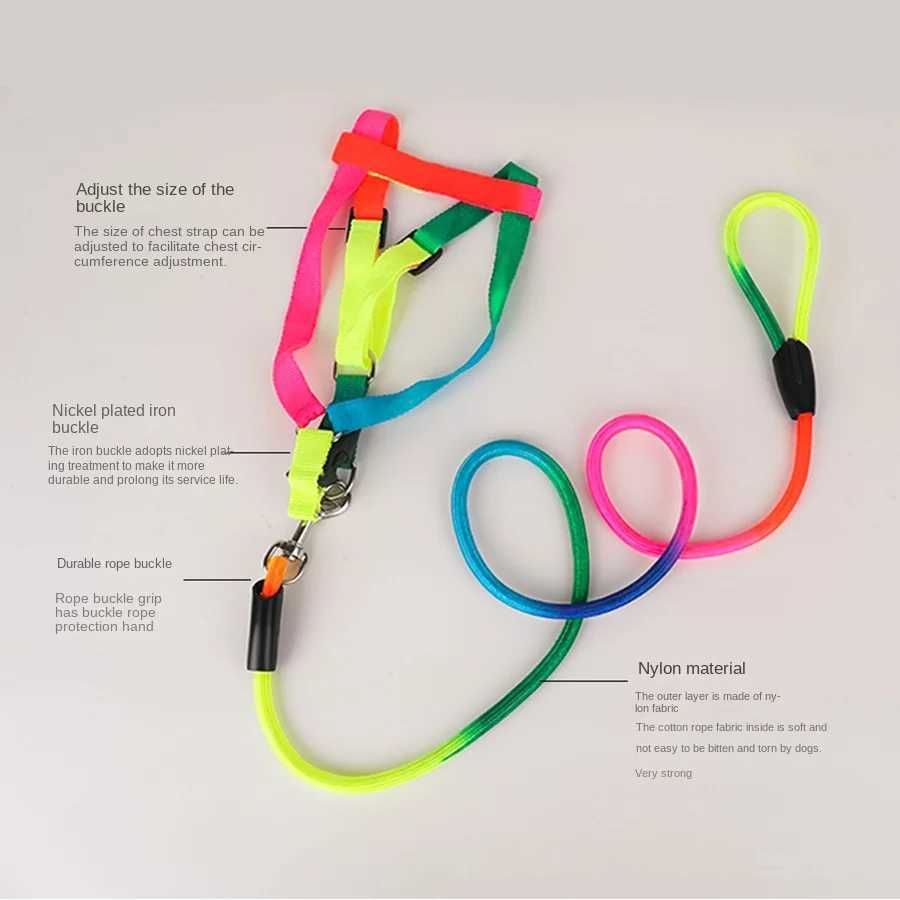 Dog Pet Leash + Harness Two-Piece Set Cat Leash Colorful Pet Harness Round Rainbow Color Cat Leash Dog Chain Y250704