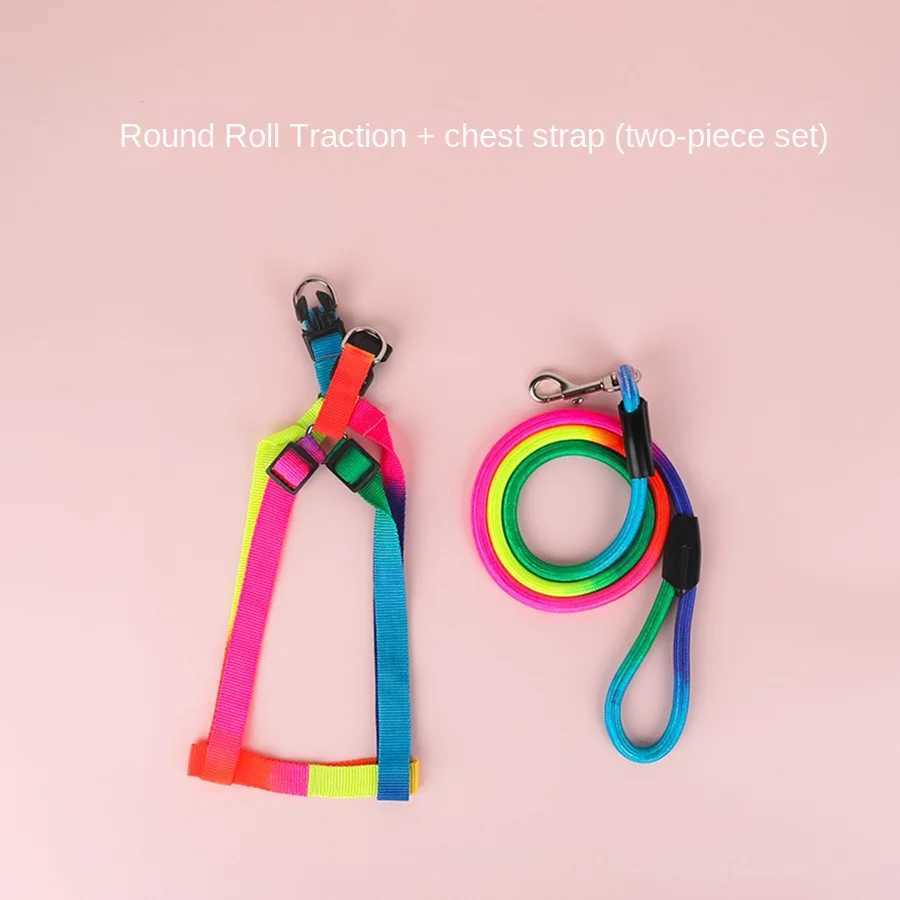 Dog Pet Leash + Harness Two-Piece Set Cat Leash Colorful Pet Harness Round Rainbow Color Cat Leash Dog Chain Y250704