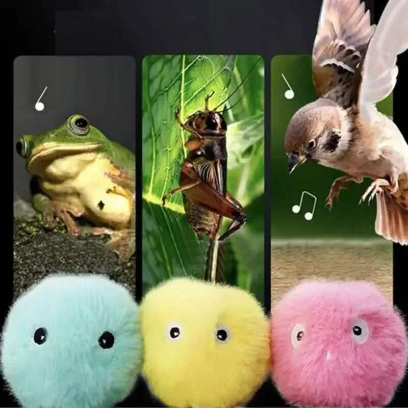 Sound Frogs Birds Chirping Crickets EVA Balls Rolg Cat Plush Soft Self-Heeg Teaser Toys Pet Accessories