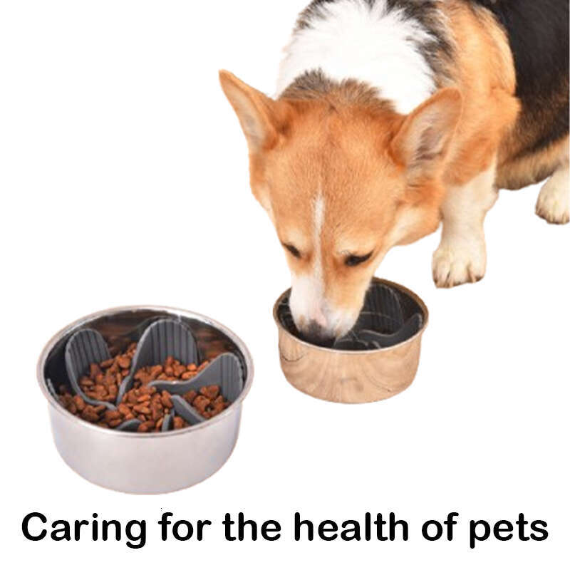 DHpet Slow Feeder Insert - Transforms Dog Bowls into Slow Feeders for Small, Medium & Large Breeds, Equipped with 18 Octopus - Style Suction Cups