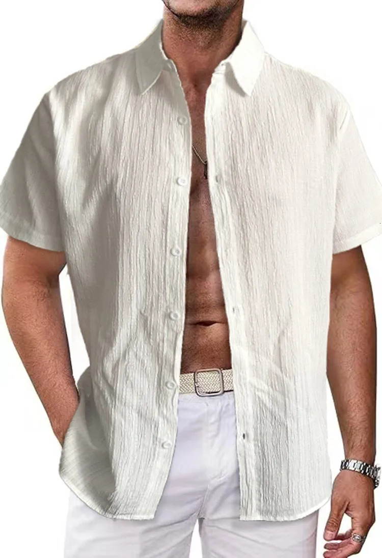 Summer Shirts For M… - image