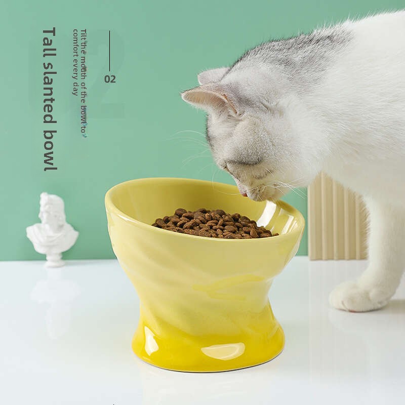 Tilted Cat Food Bowl - Whisker Friendly, Anti Vomiting, Slanted, Cat Bowl, Blue