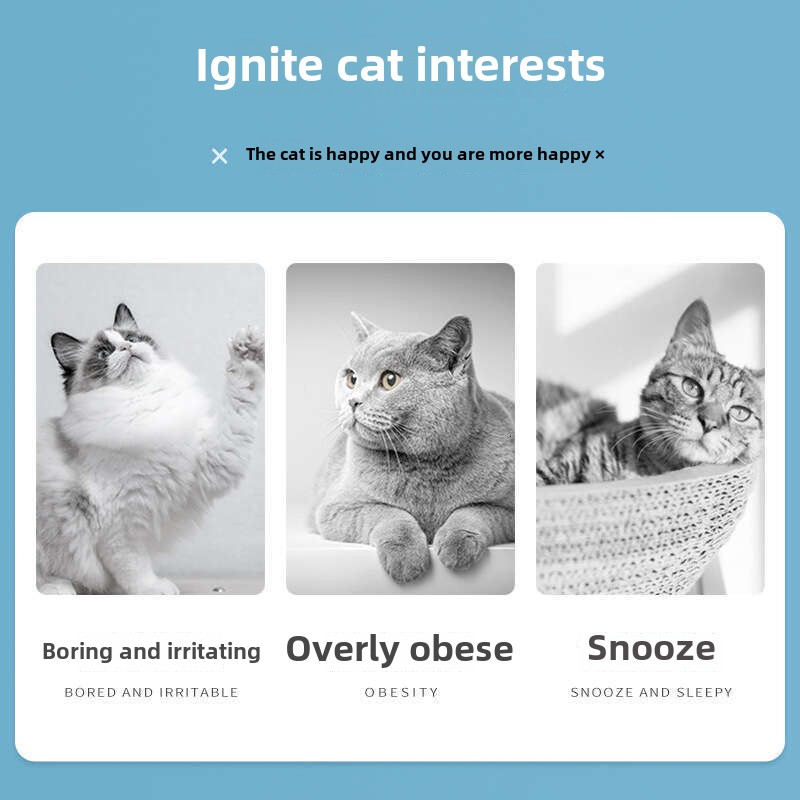 Cat Interactive Little Mouse with Built-In Laser Pointer Fun Indoor Activity