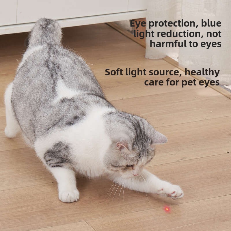 Cat Interactive Little Mouse with Built-In Laser Pointer Fun Indoor Activity