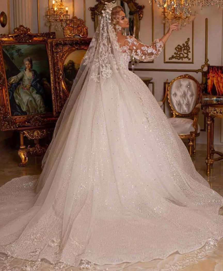 Princess A e Wedding Dresses Sheer Neck Lace Appliques Long Sleeve Bridal Gowns Illusion Sequined Bride Dress Customized