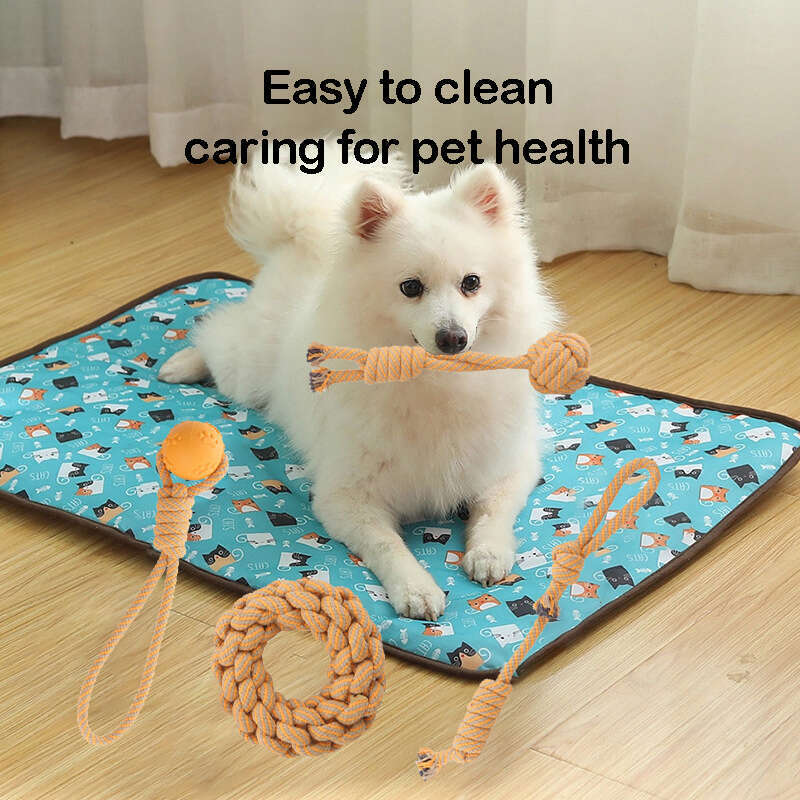DHpet Rope Knot Toy Set for Dogs - Durable, Interactive & Washable, 650g, 40228cm Package, 50X60X30cm Carton Size