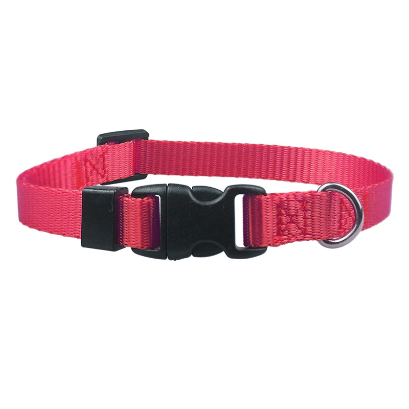Pet Supplies Identification Neck Hoop Dog