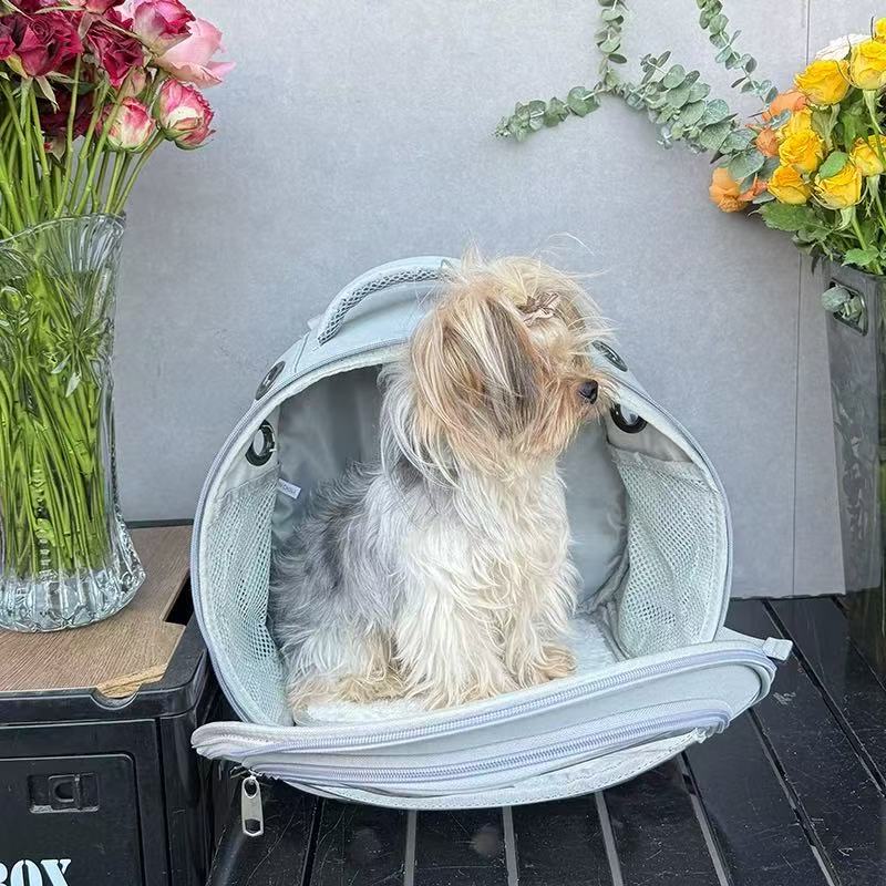 Yorkshire small dog outdoor portable bag, small body pet outdoor backpack, transparent folding high appearance cat backpack