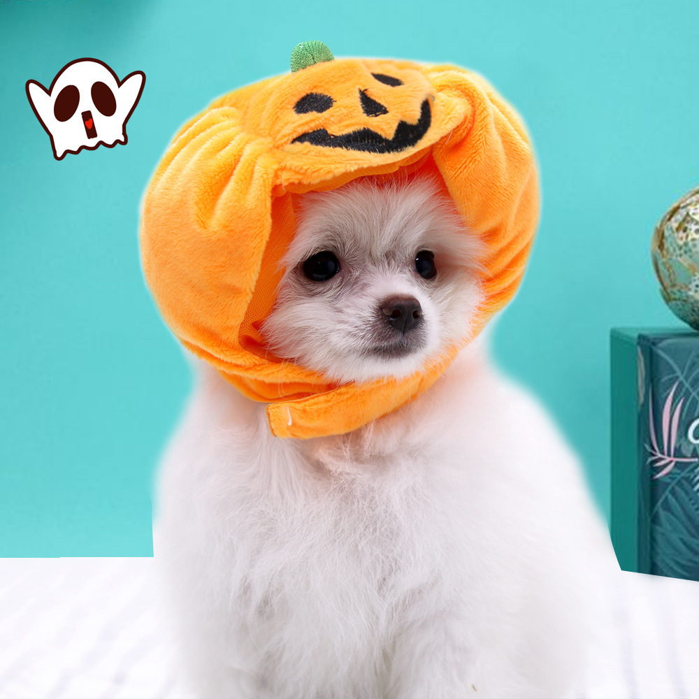 Pet cats, dogs, pumpkin hats, Halloween costumes, headwear supplies, small, medium, and large dog teddy toys, and fighting supplies