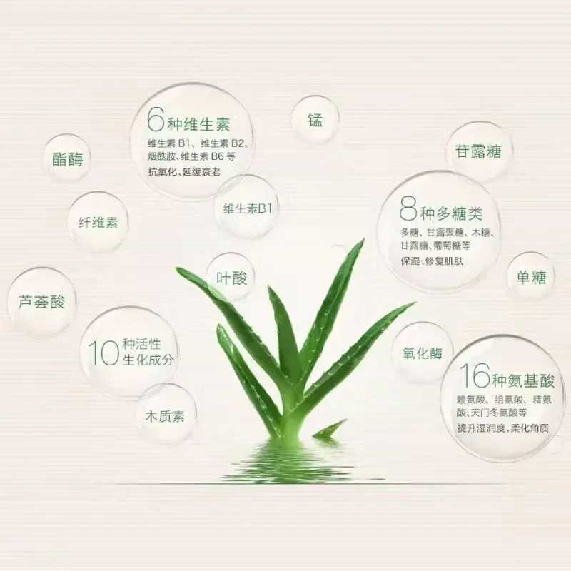 99% Aloe Vera Softening Powder Waterproof Moisturizing Concealer Foundation Fixed Make Up Oil Control Facial Makeup CosmeticsXJ250224