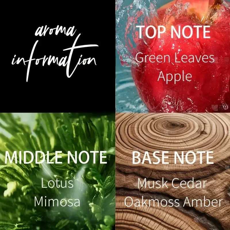 Exquisite Brand Travel Mens eau de toilette - Fresh Romantic Fruit Flavor Woody Notes 00ml Cologne perfume suitable for daily wear W250224