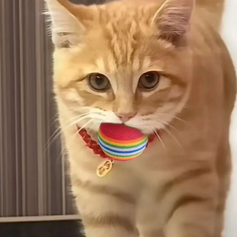 100/10PCS Toy Interactive Rainbow EVA Cat Dog Training Toys Soft Automatic Jumping Balls Pet Playing Supplies