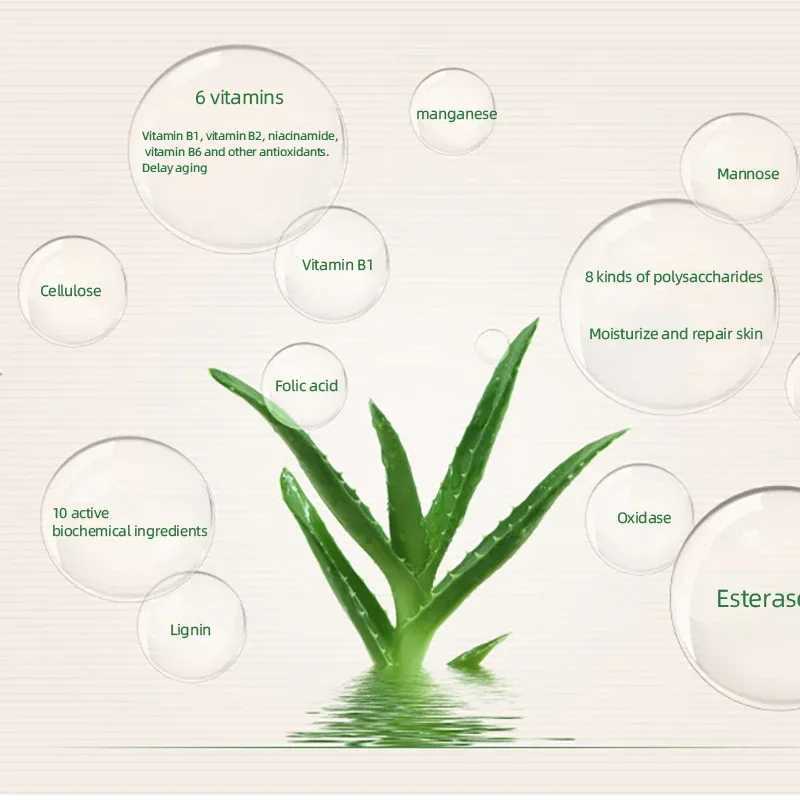 99% Aloe Vera Moisturizer Face Powder Smooth Foundation Pressed Powder Makeup Concealer Pores Cover Whitening Brighten CosmeticsXJ250224