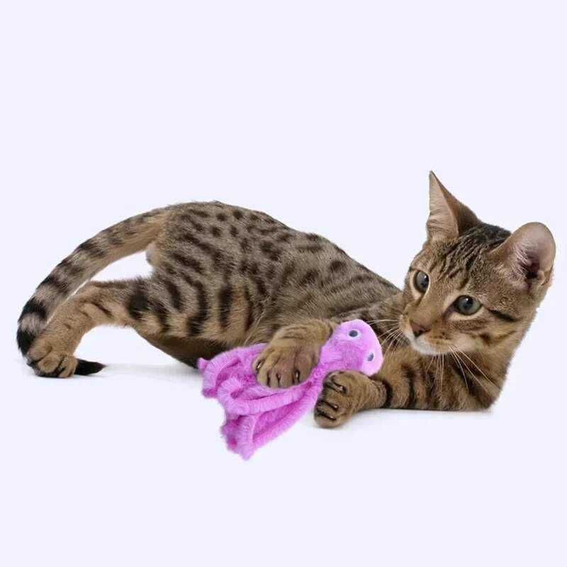 Cute Plush Toy Bite Resistant Teeth Interactive Play Pet Supplies Cat Dog Toys Octopus