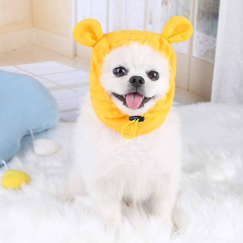 Small, medium, and large dogs, new models for dogs, cats, pet headgear, magic buckets, teddy bears, donkey hats, supplies, headwear manufacturers, who