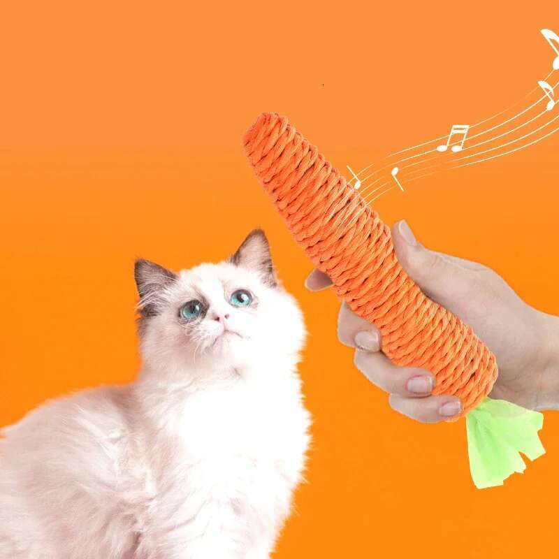 rot Sound Pet Products Bite Resistant Paper Rope Scratcher Clean Teeth Interactive Play Carrot Chew Toy for Cat