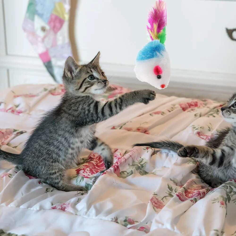 10 Pcs New Plush Cat Mouse Mice Rattle Set Interactive Pet Toy for Kittens Assorted Caip Toys with Colorful Feather Tail