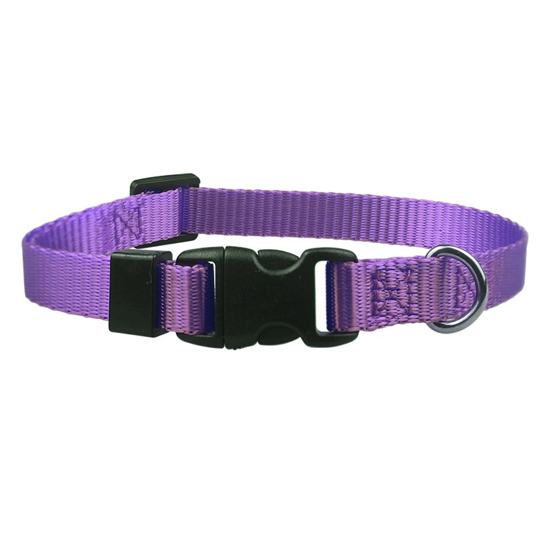 Pet Supplies Identification Neck Hoop Dog