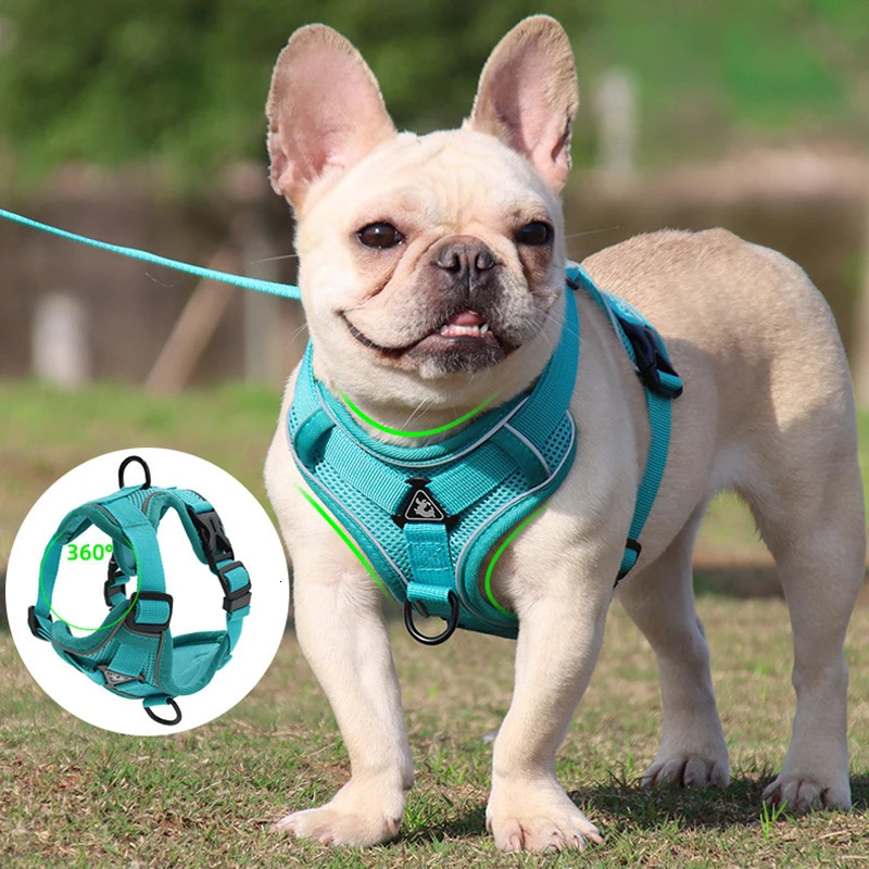 No Pull Dog Harness and Leash Set Adjustable Pet Harness Vest For Small Dogs Cats Reflective Mesh Dog Chest Strap French Bulldog 250224
