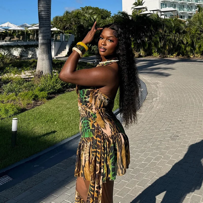 Leopard Print Deep V Neck Backless Mini Dress A Line Irregular Hem Sexy Vestidos 2025 Lady Y2k Streetwear Beach Dresses 250225