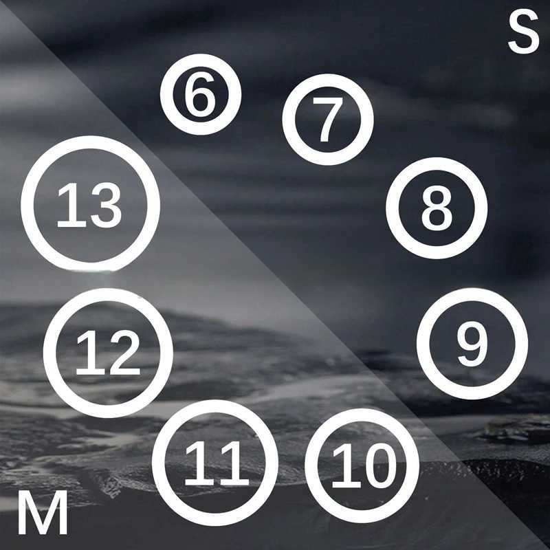 Pattern printed protective cover for Samsung Galaxy Ring/Oura Ring soft TPU shell W250225