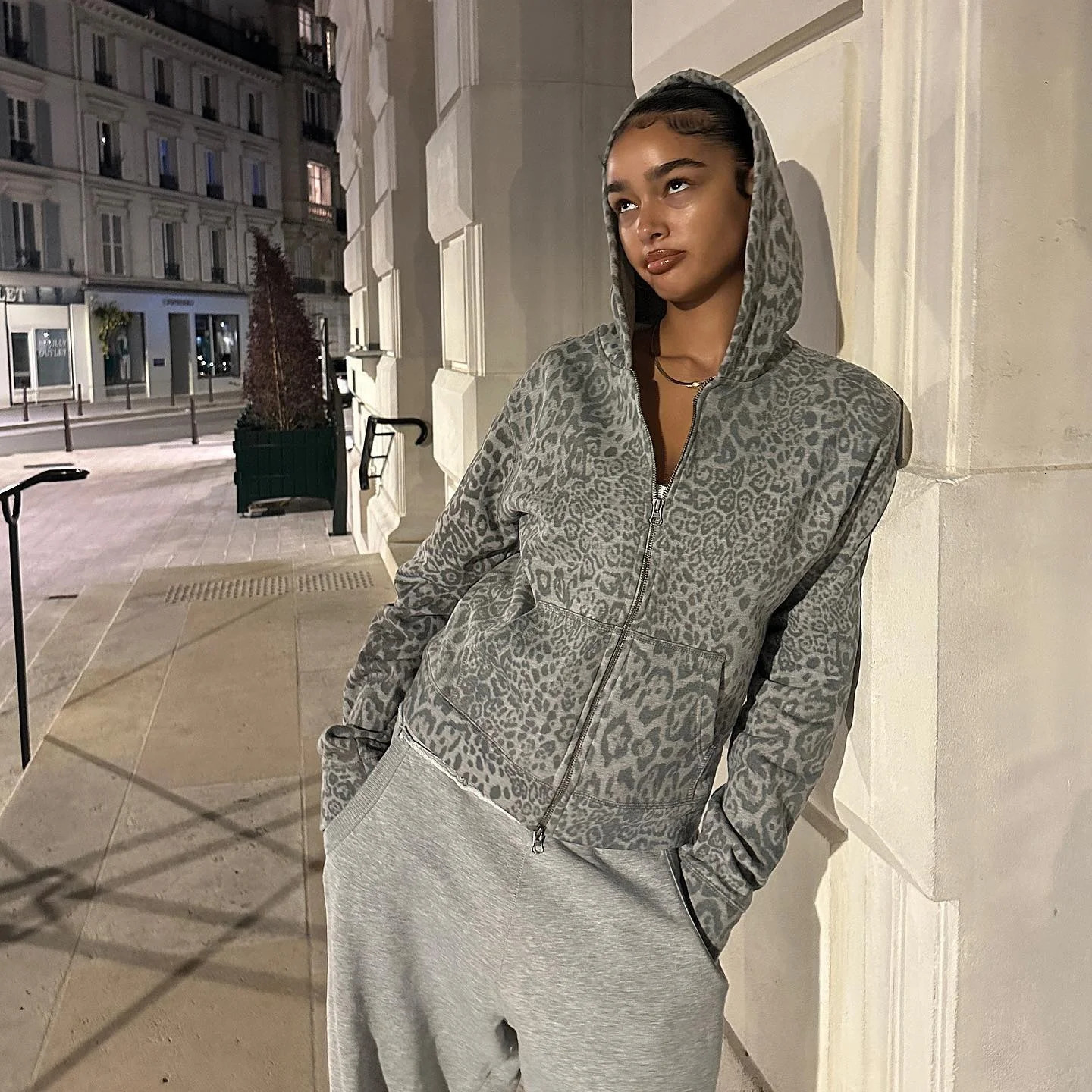 High Street Y2K Pullover Hoodie Women Gothic 90s Leopard Hoodie Set Streetwear Sweatshirt Vintage Clothing Punk Loose Hip Hop 250225