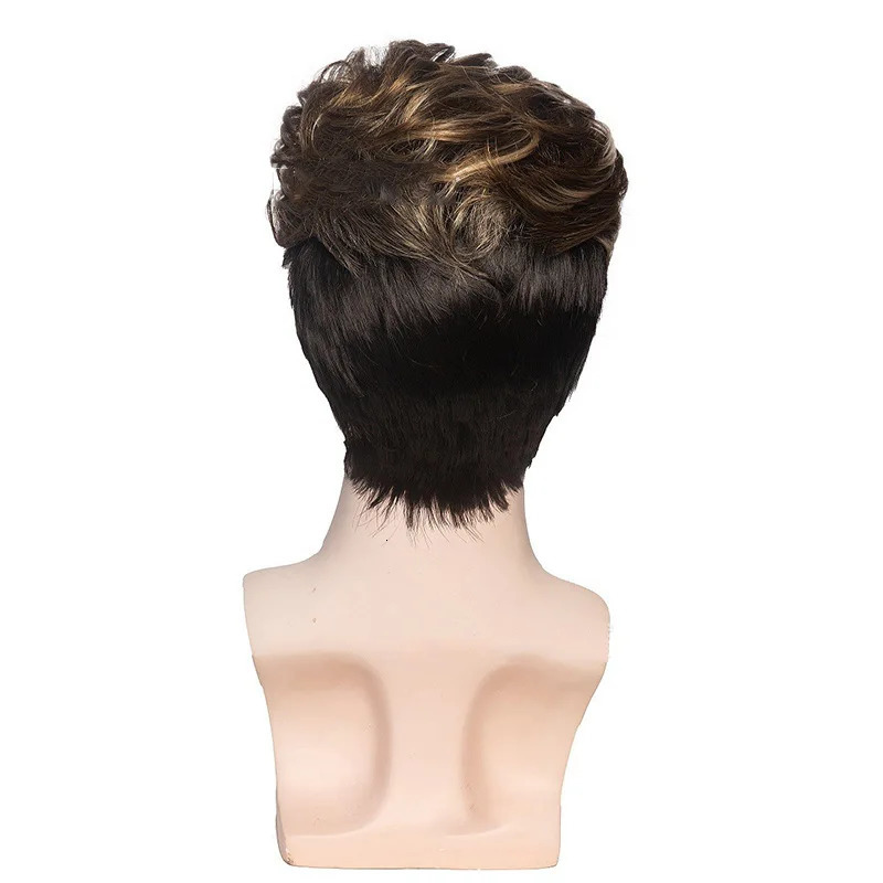 Sylhair Men Wigs Short Silver Gray Wig Male Guy Short Layered Cosplay Costume Party Synthetic Heat Resistant Natural Hair 250224