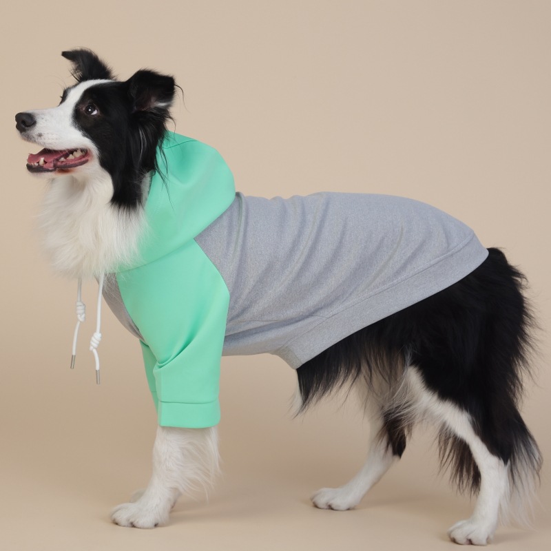 Year - Round Two - Legged Zip - Up Hoodie Suitable for Medium and Large Dogs in a Non - Gender - Specific Style