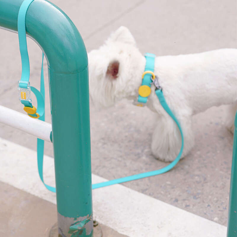 DHpet Waterproof Dog Leash with PVC Coating - Available in Green/Yellow/Pink - S/M/L Sizes for 5-30kg Dog - Stain & Odor Resistant, Multi - functional