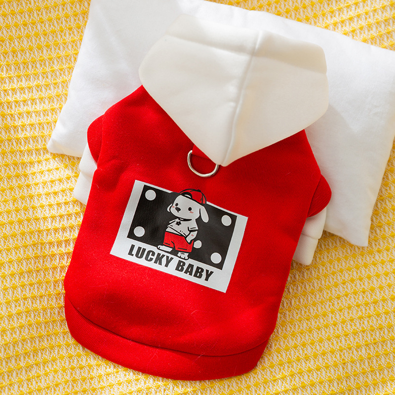 Trendy and Cool Drawstring Hoodie Pet Clothes for Cats like British Shorthair Kittens, Hairless Cats, and Dogs