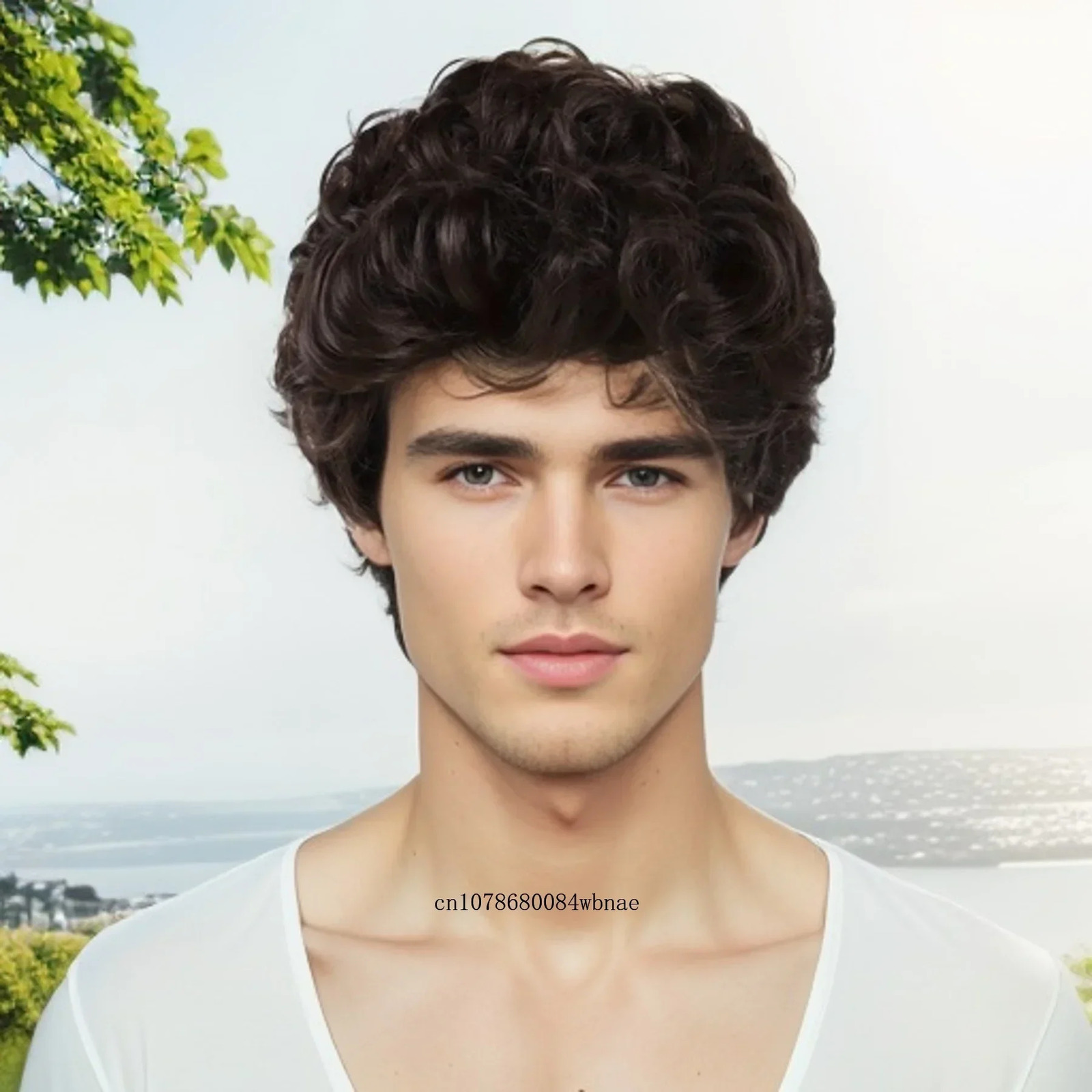 Male Wig Short Layered Synthetic Hair Brown Curly Wigs for Men Heat Resistant Natural Looking Daily Cosplay Costume Father Gifts 250224