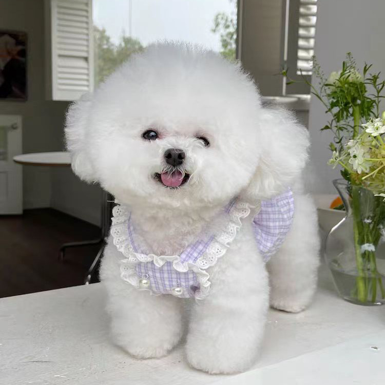 Cozy Pets' Apparel: Warm Animal-Friendly Sweater w/ Cute Ball Accents for Teddy Bears & Dachshunds