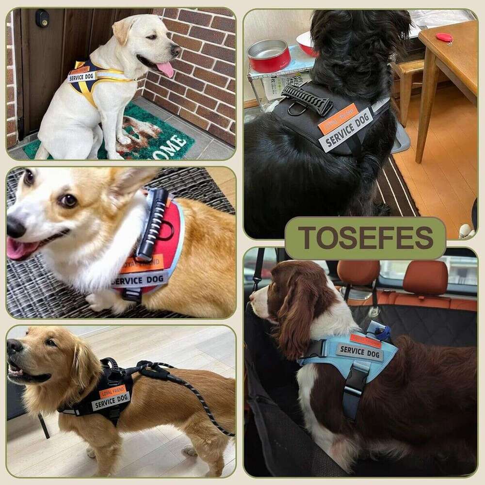 DHpet Wholesale Pet Chest Harness For Medium And Large Dogs Reflective Explosion-proof Vest Dog Traction Rope