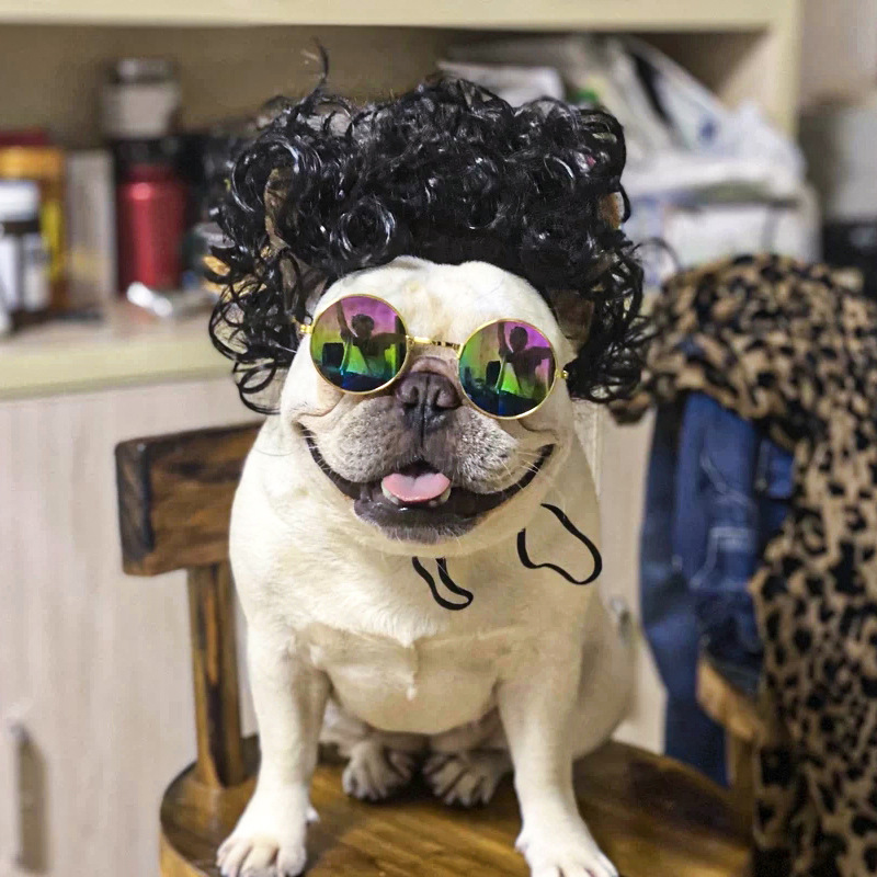 Pet Wig Dog Wig Cat Wig Pet Supplies Holiday Pet Accessories Qi Liuhai Explosion Head Manufacturer