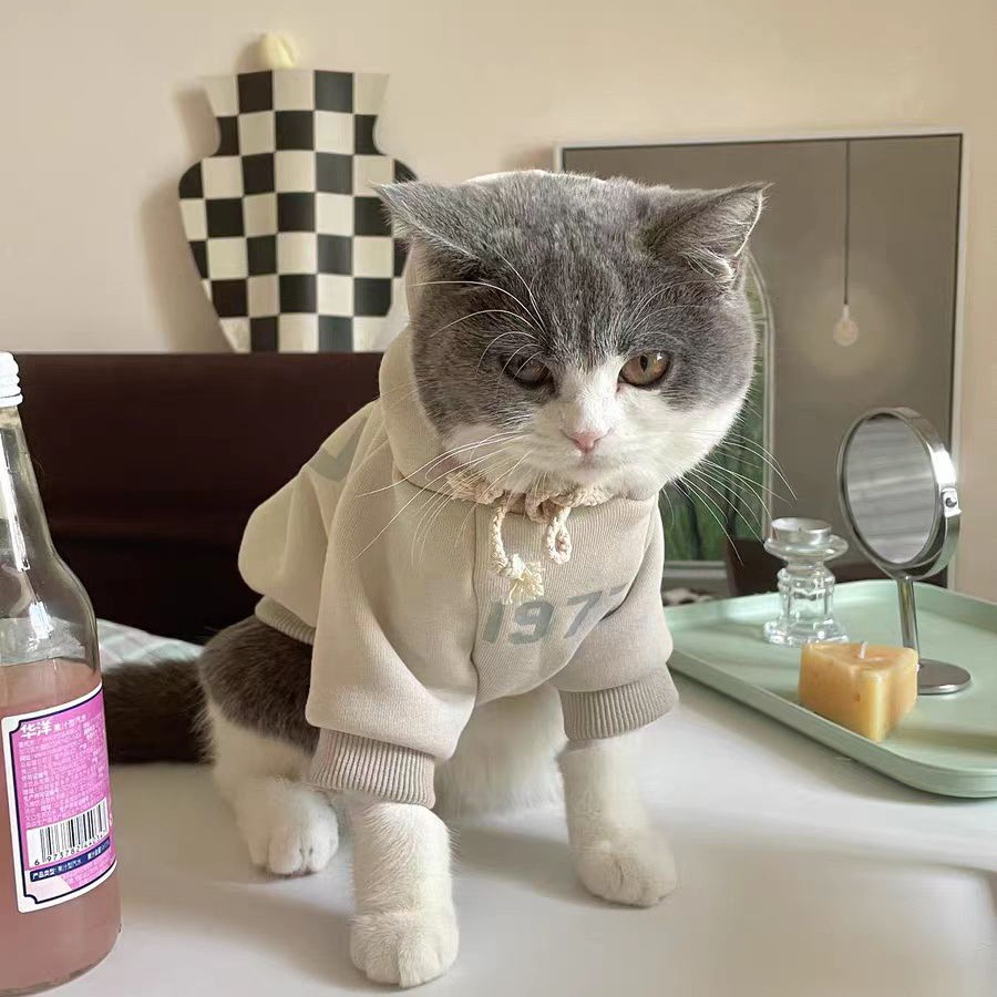 Stylish Spring/Fall Pet Clothes for Dogs & Cats - Cute Fleece Outfits for Ragdoll, British Shorthair