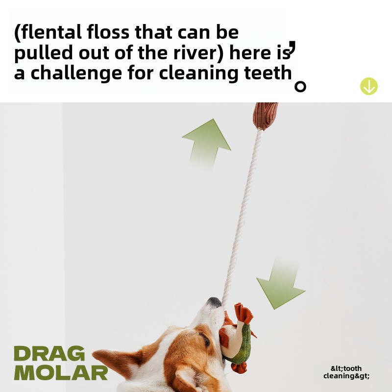 Special chewing and sound - making toy for puppies. It relieves boredom easily and starts the self - entertainment mode. An excellent choice for puppy