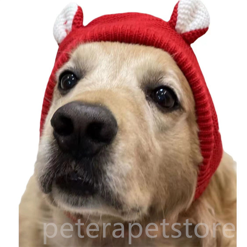 Dog hat winter medium and large dogs Labrador golden retriever funny headgear warm pet puppy big dog ears