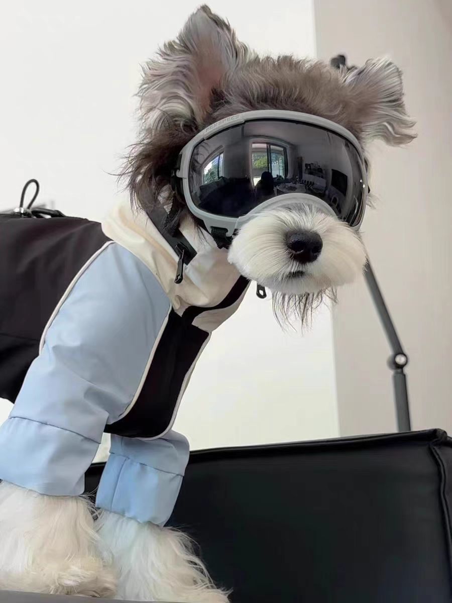 Windproof Dog Jacket for Small Medium Dogs - Stylish & Warm Four-Legged Coat for Teddy Bichon Schnauzer