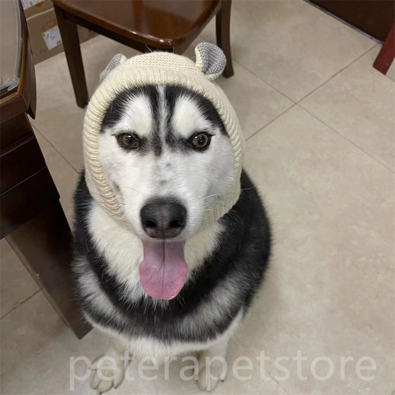 Dog hat winter medium and large dogs Labrador golden retriever funny headgear warm pet puppy big dog ears