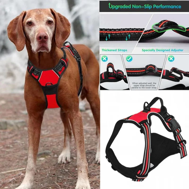 Medium Large Dog Collars Harness Big Vests Harness for Dog Pet Shop Everything for Dogs Small Dogs Harness Puppy Accessories 250224