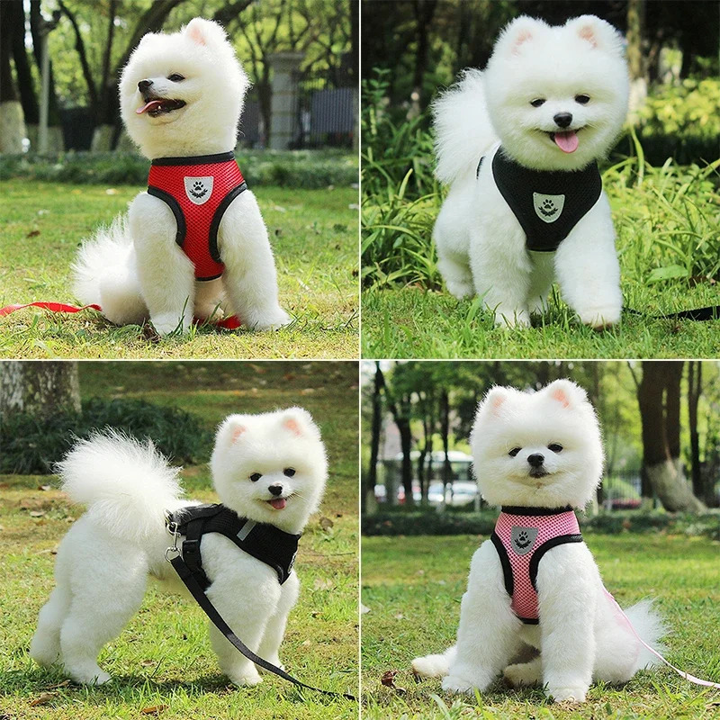 Puppy Cat Vest Harness With Leash Breathable Mesh Pet Chest Straps For Chihuahua York Harnesses Reflective Bulldog Walking Leash 250224