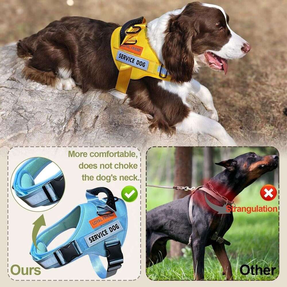 DHpet Wholesale Pet Chest Harness For Medium And Large Dogs Reflective Explosion-proof Vest Dog Traction Rope