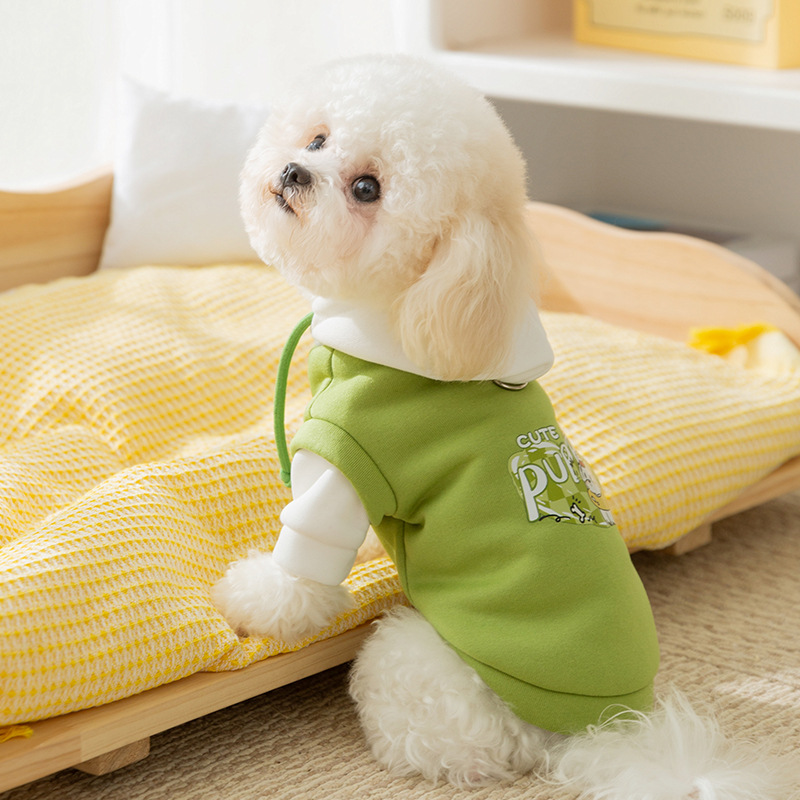 New Arrival! Trendy Hooded Pet Pullover for Small Dogs like Bichons and Cats. Ideal for Autumn and Winter, keeps your furry friends warm in style with