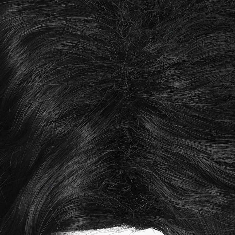 Men Synthetic Short Black Wave Curly Men Wig Anime Game Cosplay Fluffy Heat Resistant Wig for Daily Party 250224