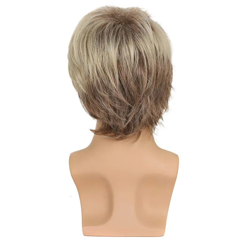 Sylhair Men Wigs Short Silver Gray Wig Male Guy Short Layered Cosplay Costume Party Synthetic Heat Resistant Natural Hair 250224