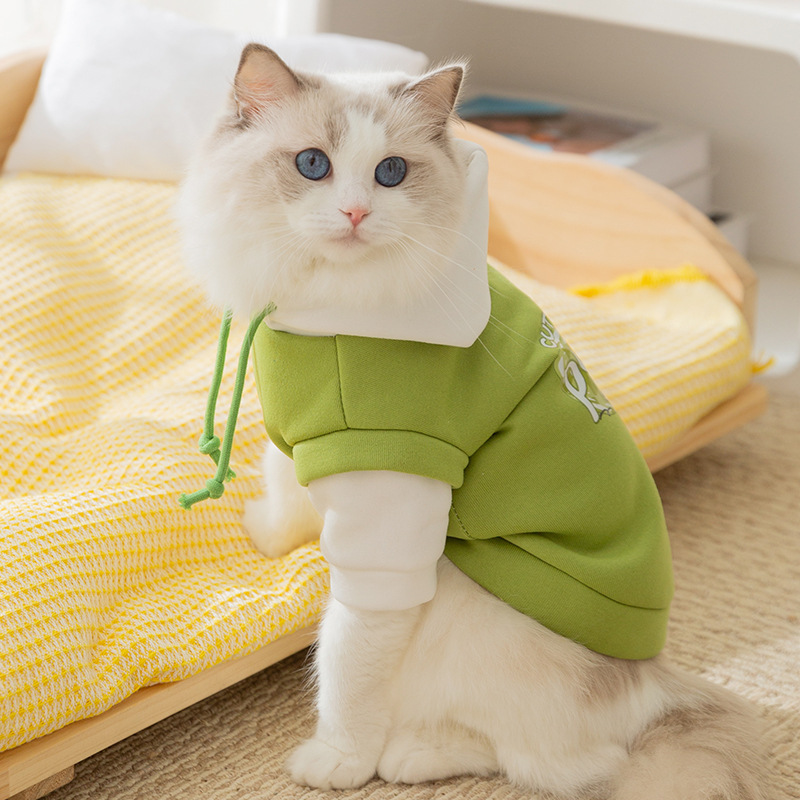 Trendy and Cool Drawstring Hoodie Pet Clothes for Cats like British Shorthair Kittens, Hairless Cats, and Dogs