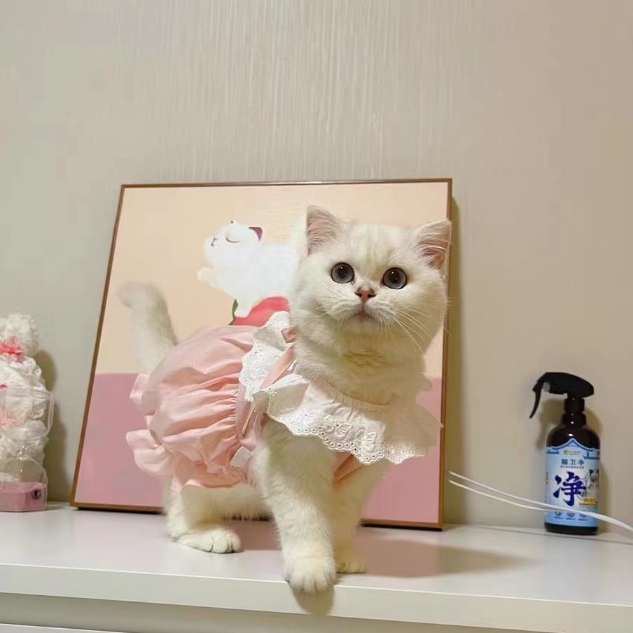 Summer Pet Cat Clothes: Adorable Ins - style Princess Dresses. Thin - fabric, Anti - shedding Dresses for Kittens and Puppies