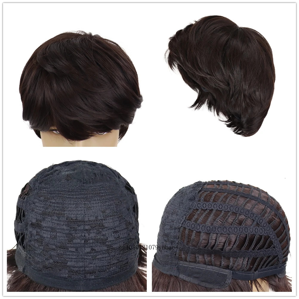 Synthetic Hair Fashion Brown Wig Short Straight Wigs with Bangs for Men Boy Heat Resistant Daily Party Costume Cosplay Halloween 250224