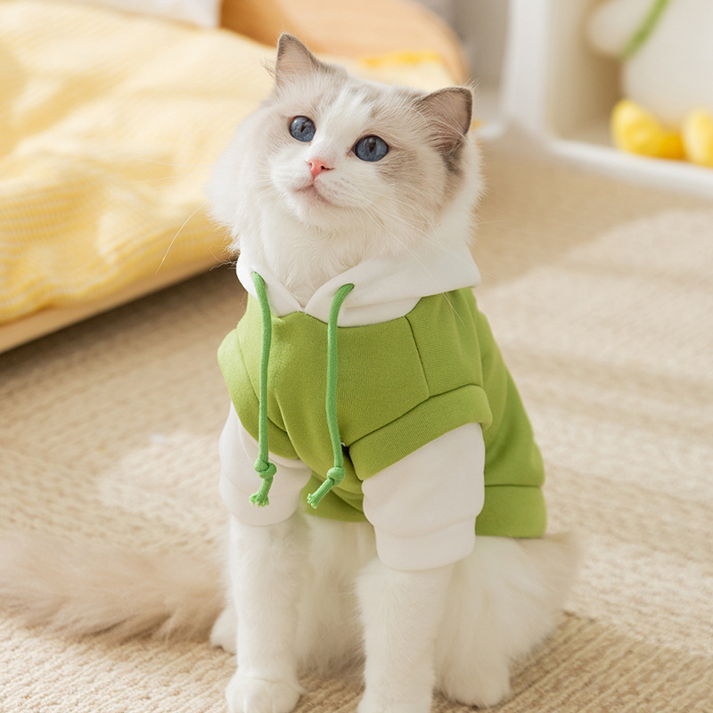 Trendy and Cool Drawstring Hoodie Pet Clothes for Cats like British Shorthair Kittens, Hairless Cats, and Dogs